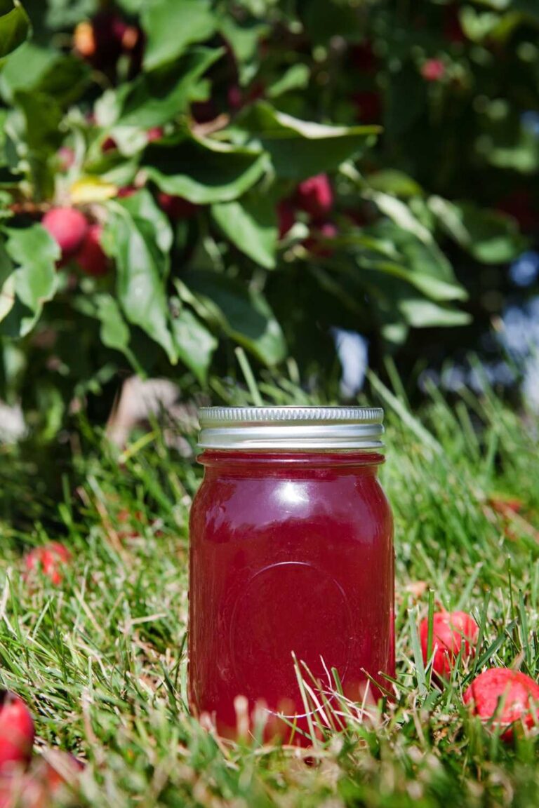 Crab Apple Jelly Recipe