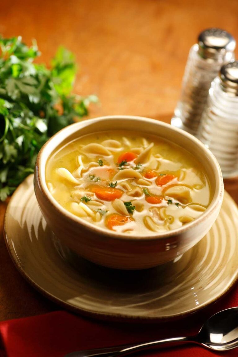Chicken Noodle Soup Recipe