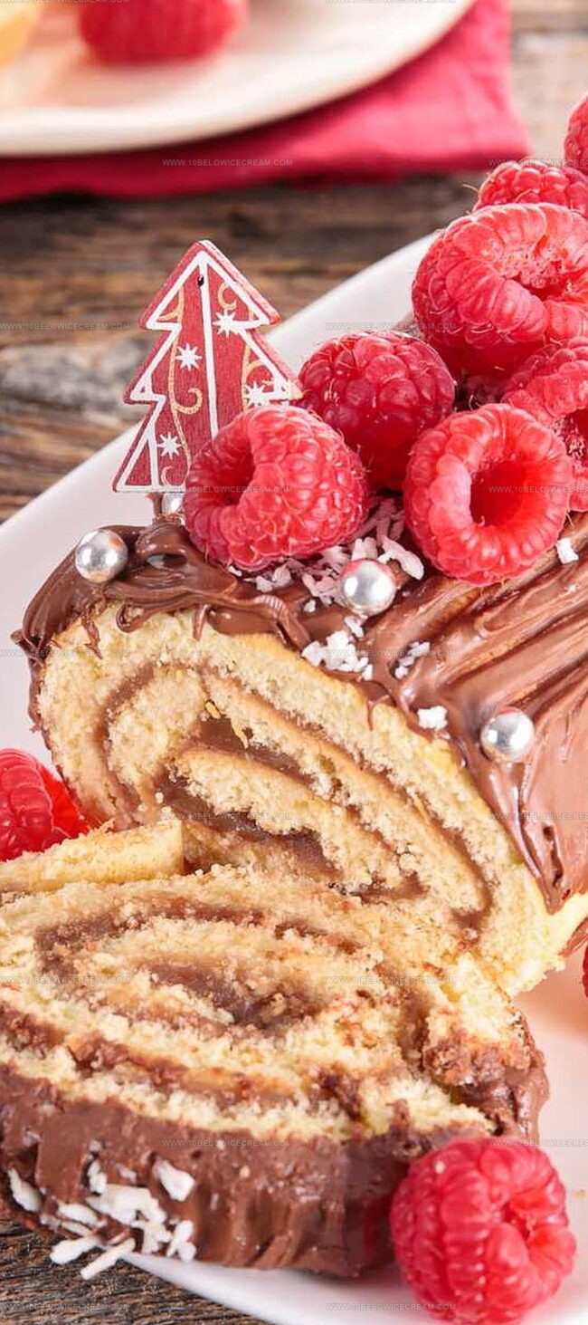 Pro Tips for Delia Smith Squidgy Chocolate Log