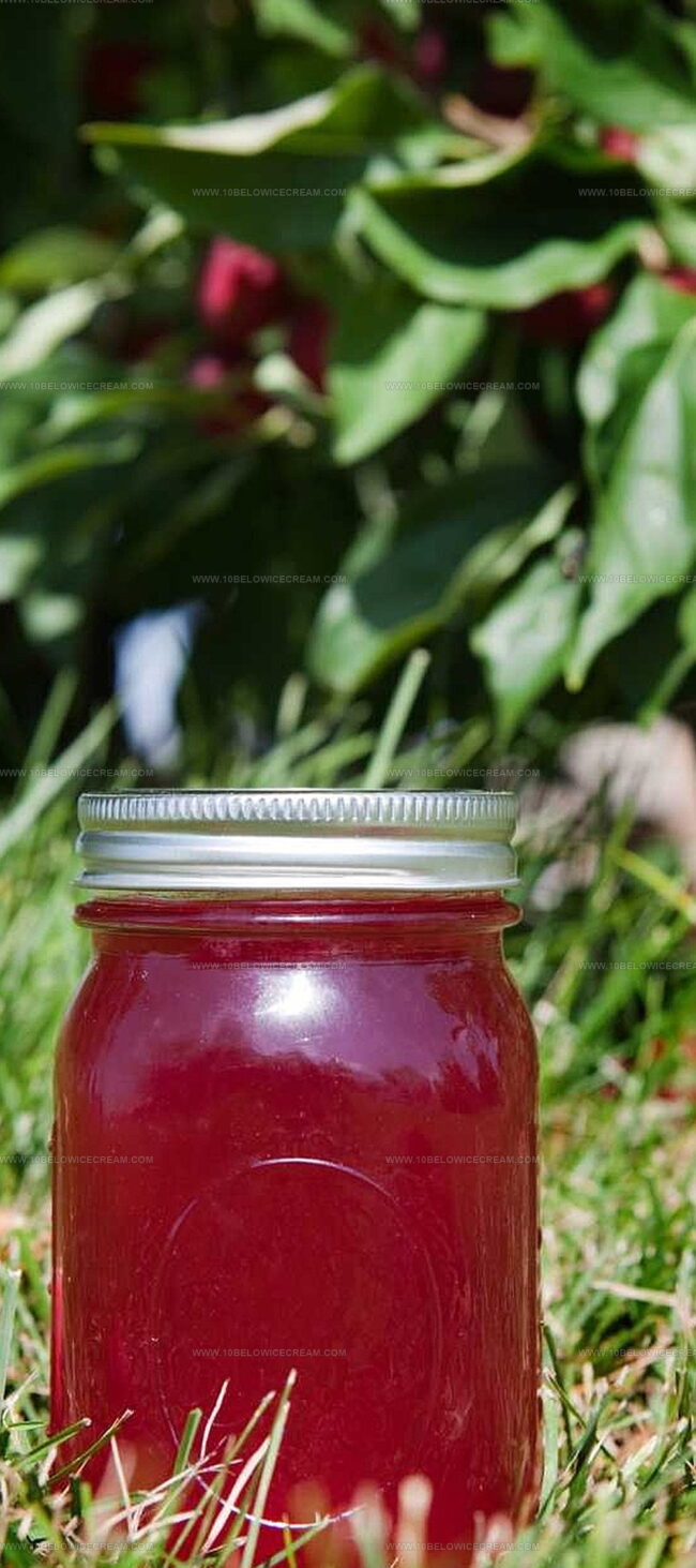 Tips That Help With Delia Smith Crab Apple Jelly