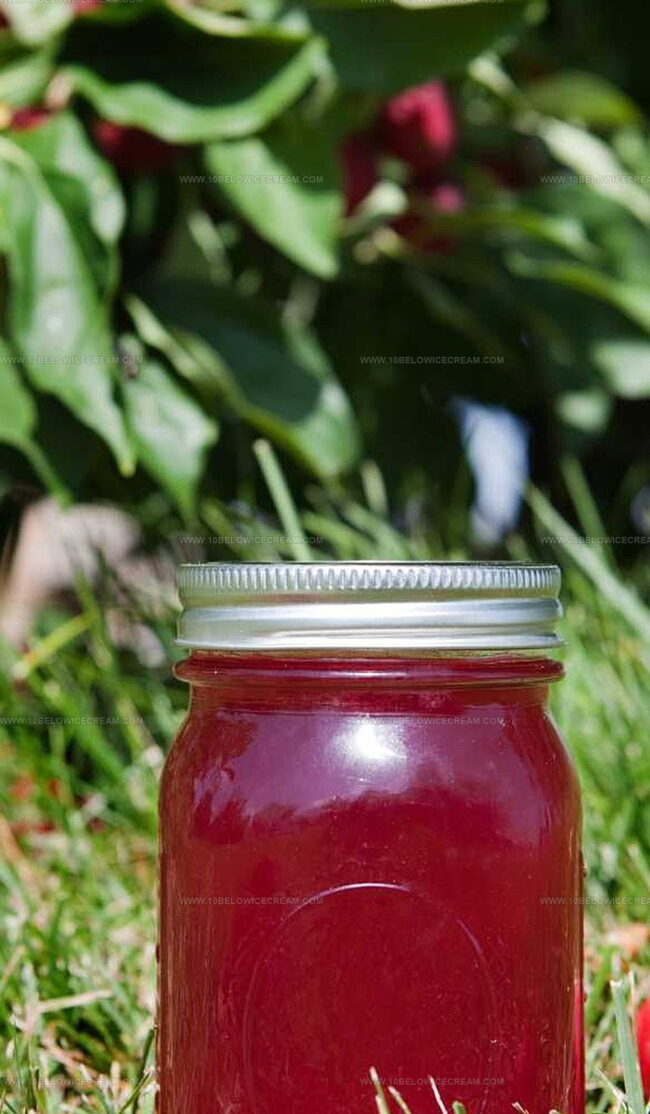 Creative Spins On Delia Smith Crab Apple Jelly