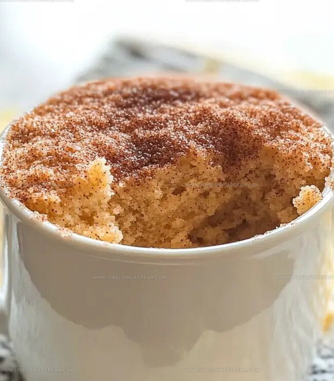 Store Snickerdoodle Mug Cake Leftovers Easily