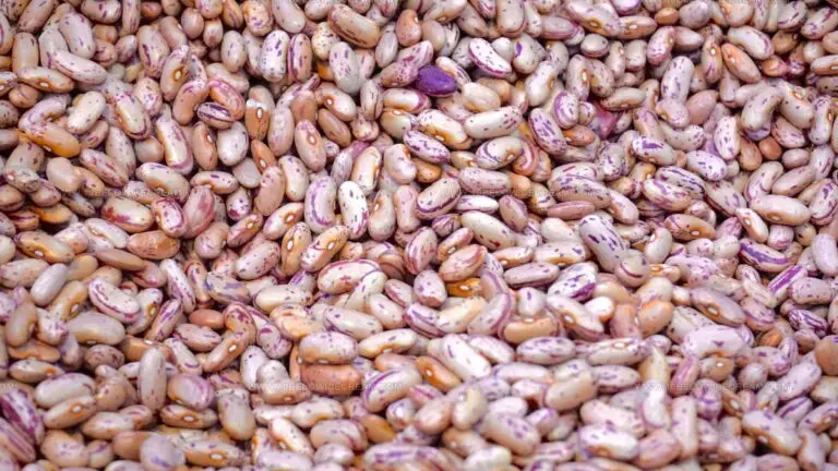 4 Cranberry Bean Alternatives for Hearty Recipes