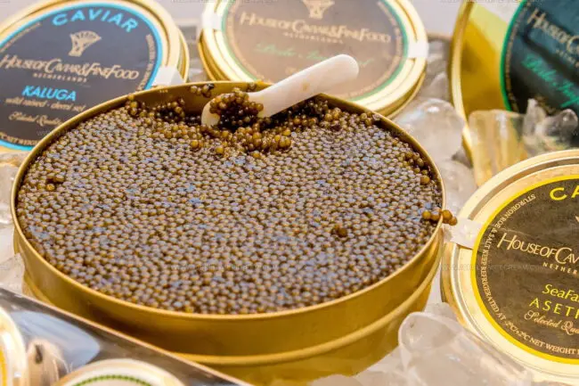Kaluga Caviar