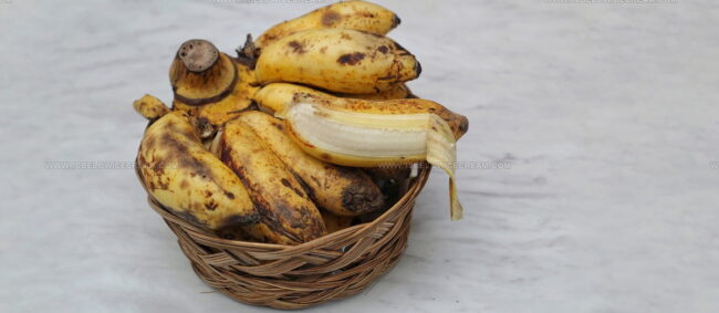 Latundan Banana