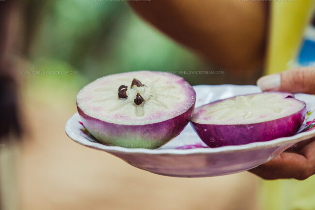 Lo Ren-Vinh Kim Star Apple