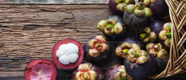 Mangosteen