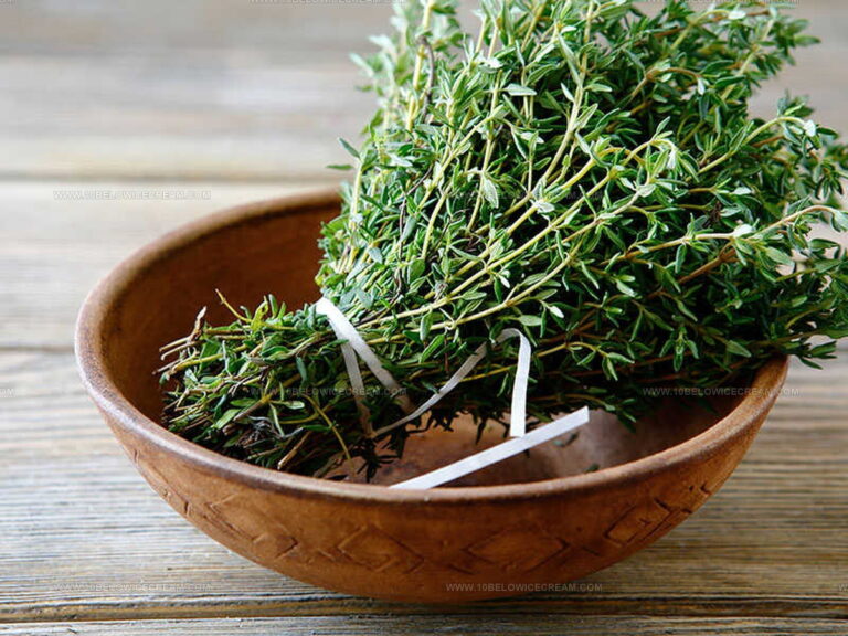 5 Dried Savory Replacements That Add Herby Notes