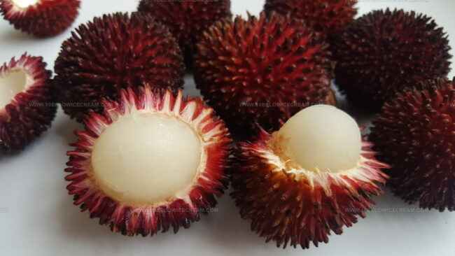 Pulasan