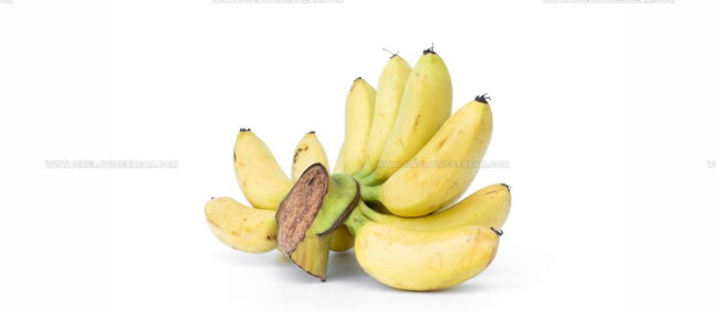 Lady Finger Banana (Pisang Mas)