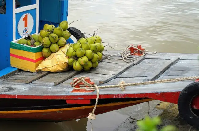 Ben Tre Coconut