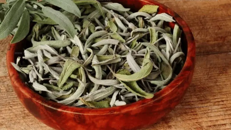 4 Dry Sage Replacements for Savory Recipes