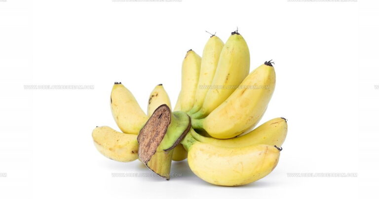 29 Exotic Asian Tropical Fruits You Need to Discover