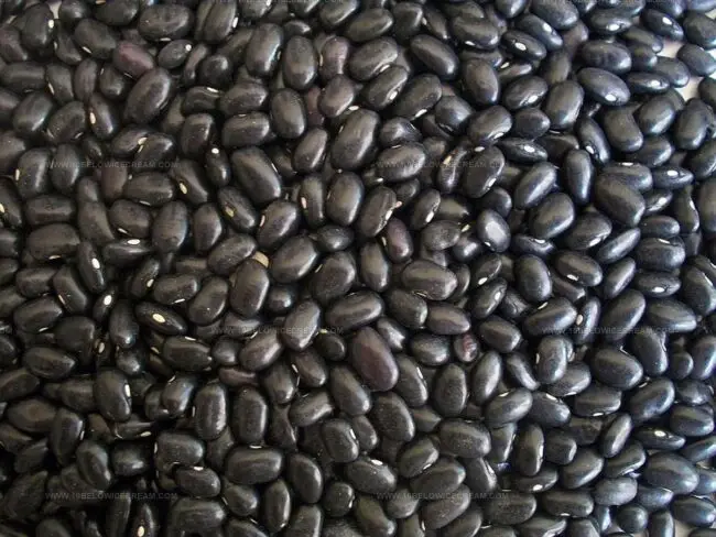 What Flavor Do Black Beans Have?