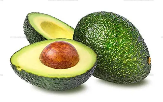 Avocado