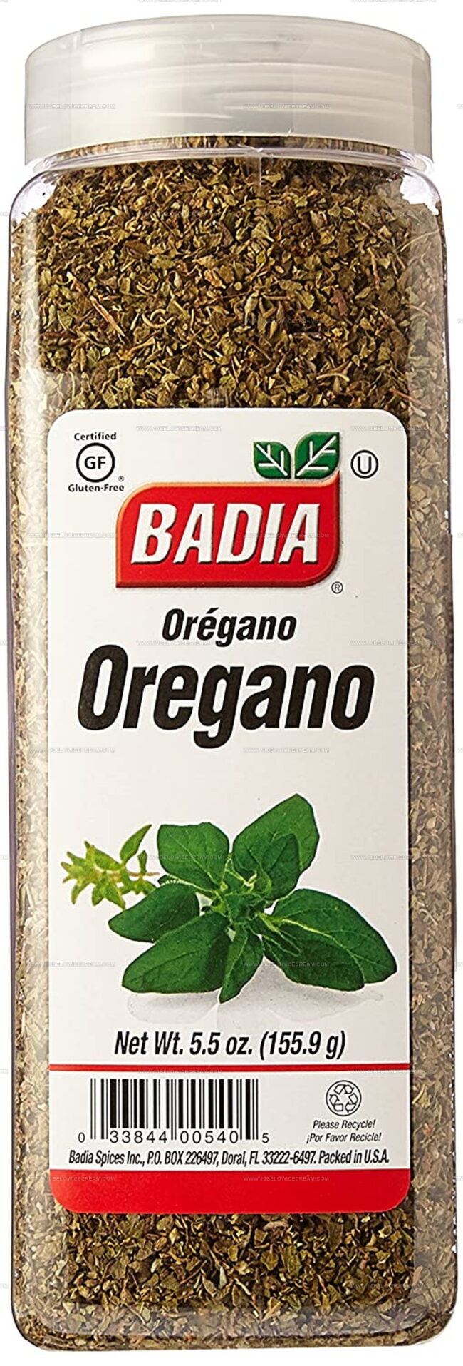 Oregano