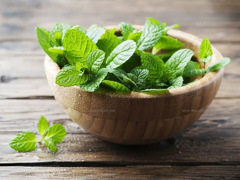 Basil or Mint: Distinct Flavors Every Cook Should Know
