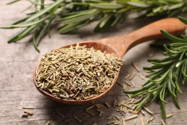 When Should I Avoid Using Stronger Herbs as a Savory Substitute?