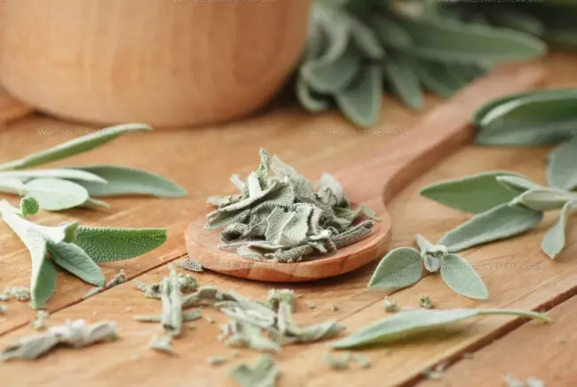 How Can I Adjust Quantities When Replacing Dry Sage?