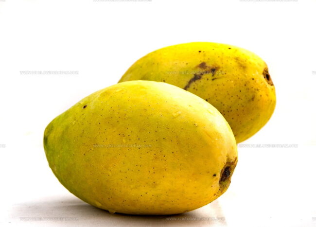 Hoa Loc Mango