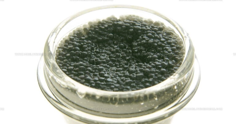 29 Exceptional Fish Roe Varieties That Impress Any Palate