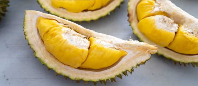 Musang King
