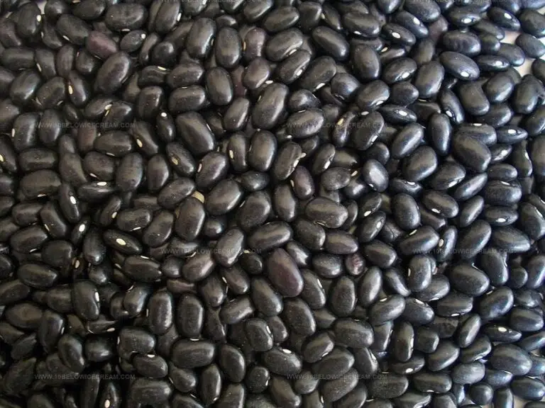 Black Beans Taste Like: Earthy Goodness in Every Bite!