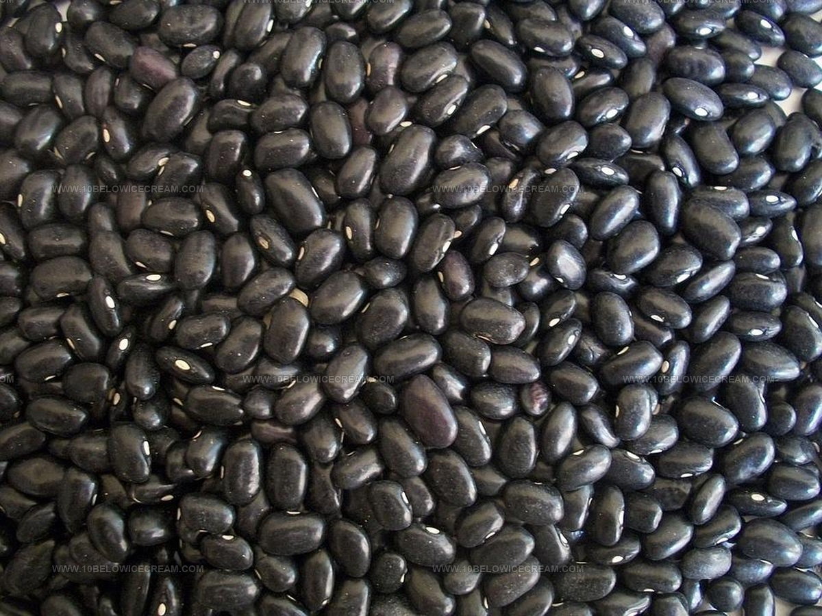 Black Beans Taste Like: Earthy Goodness in Every Bite!