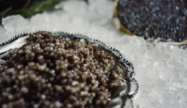 Sterlet Caviar