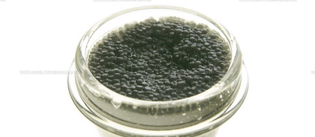 Beluga Caviar