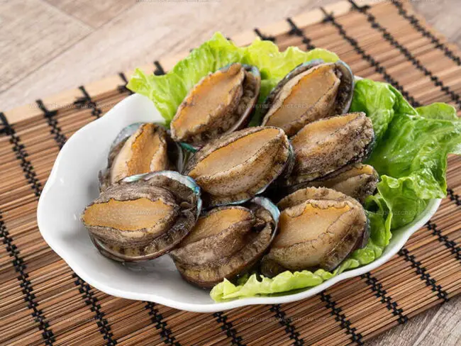Why Is Eating Abalone Banned?